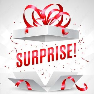 Surprise Bridal Box!